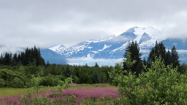 Discover Southeast Alaska | June 21 - 28, 2024